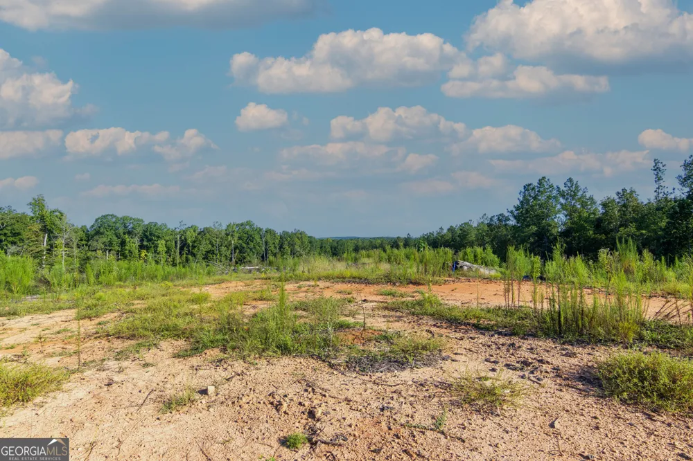 TRACT 1 Highway 0036 Woodland, GA 31836