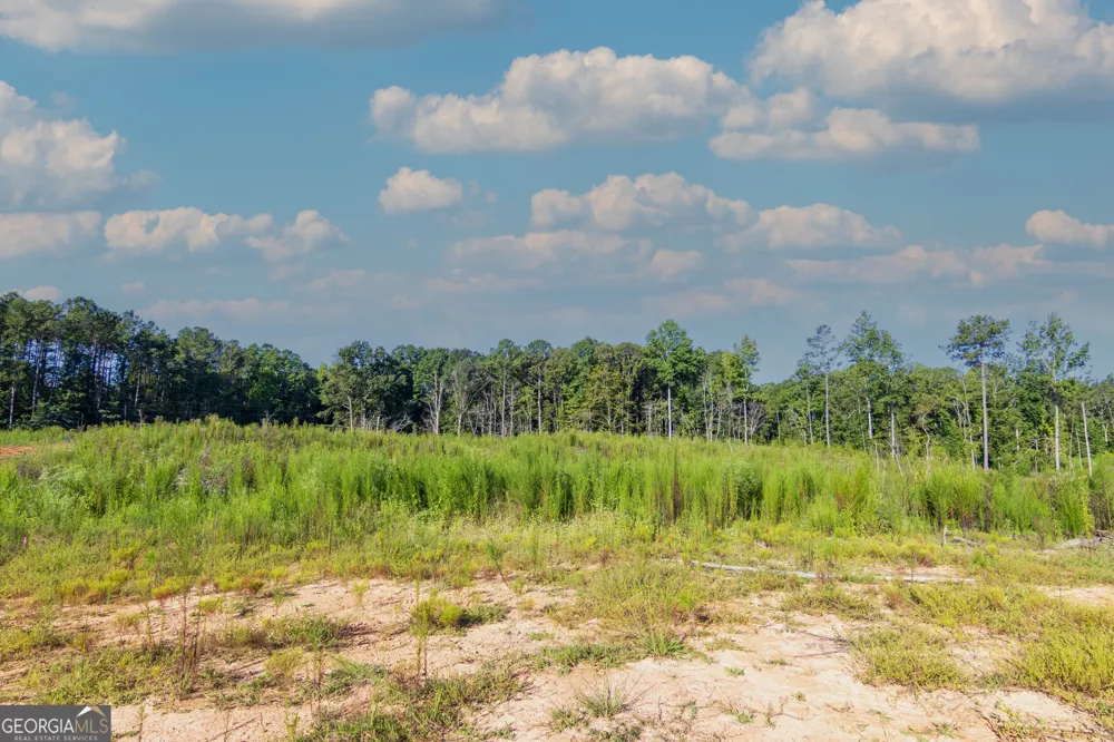 TRACT 1 Highway 0036 Woodland, GA 31836