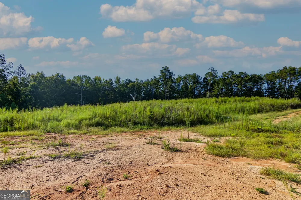 TRACT 1 Highway 0036 Woodland, GA 31836