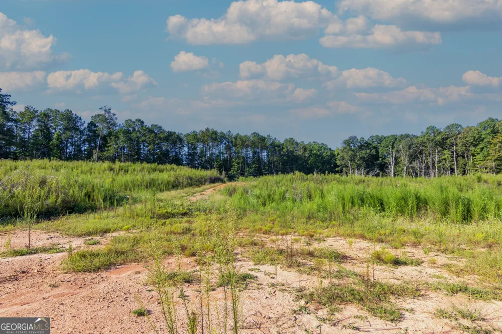 TRACT 1 Highway 0036 Woodland, GA 31836