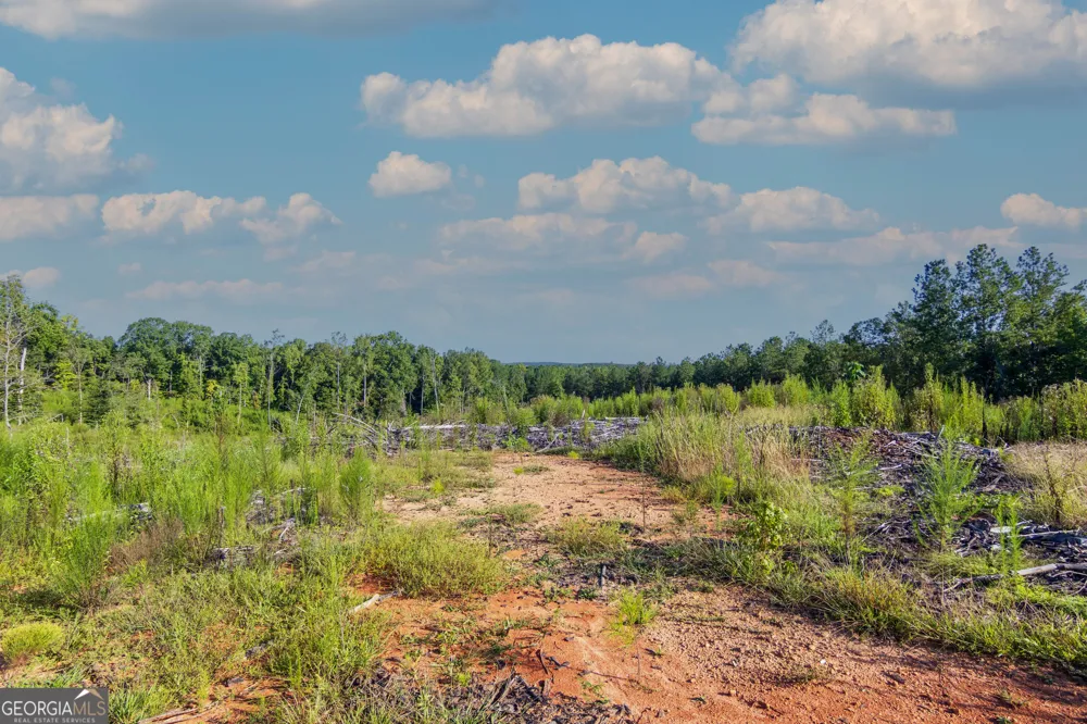 TRACT 1 Highway 0036 Woodland, GA 31836