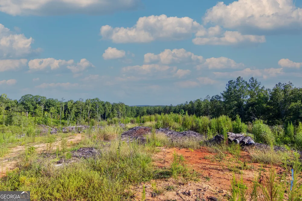 TRACT 1 Highway 0036 Woodland, GA 31836