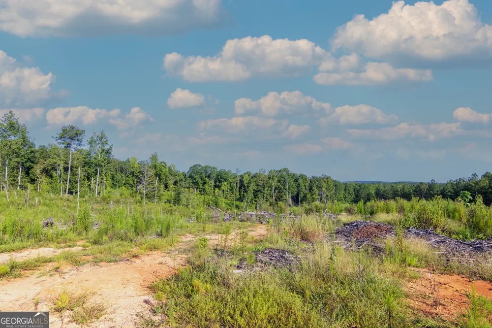 TRACT 1 Highway 0036 Woodland, GA 31836