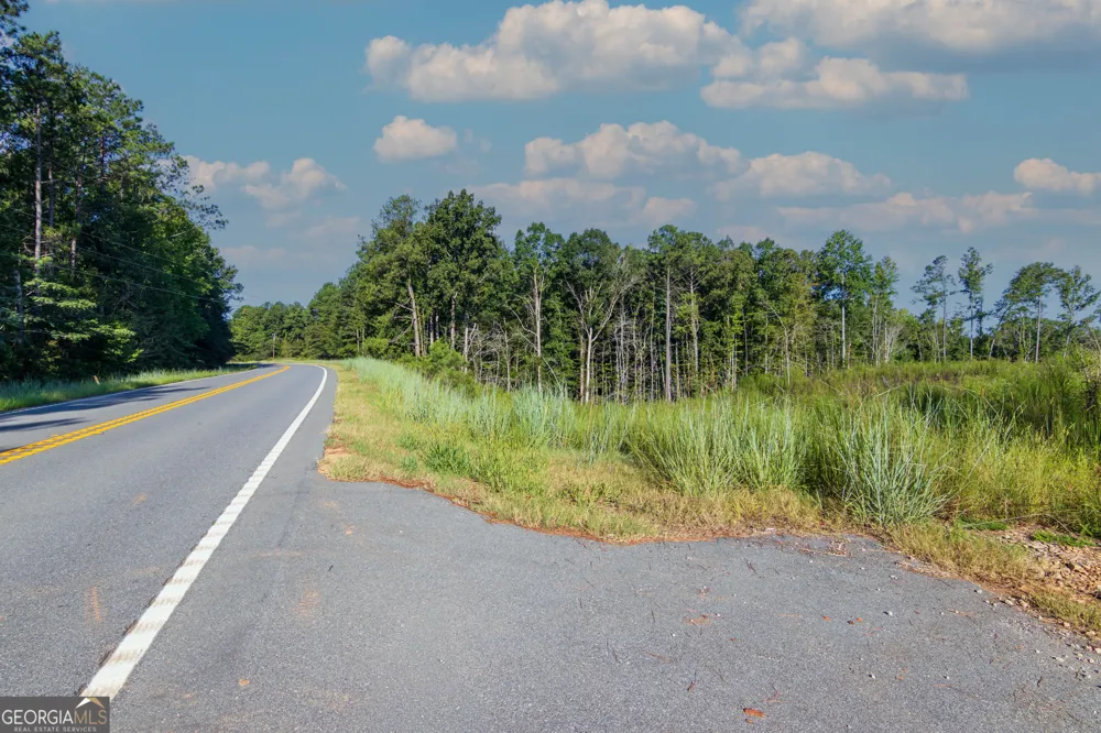TRACT 1 Highway 0036 Woodland, GA 31836