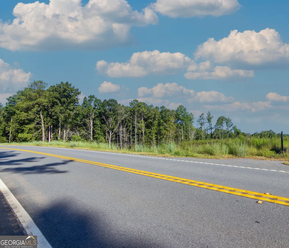 TRACT 1 Highway 0036 Woodland, GA 31836