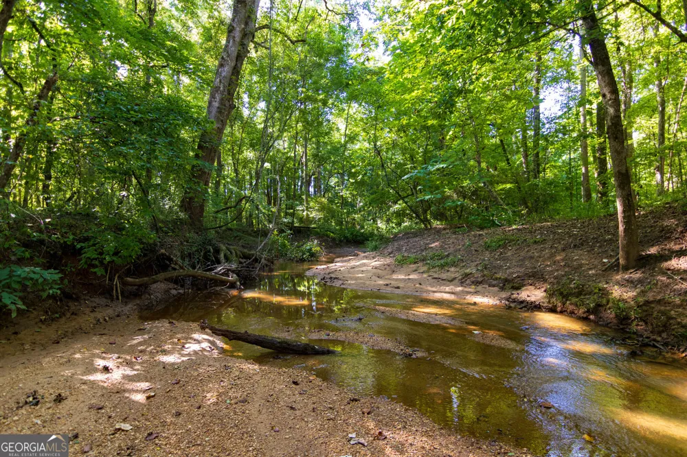 TRACT 1 Highway 0036 Woodland, GA 31836