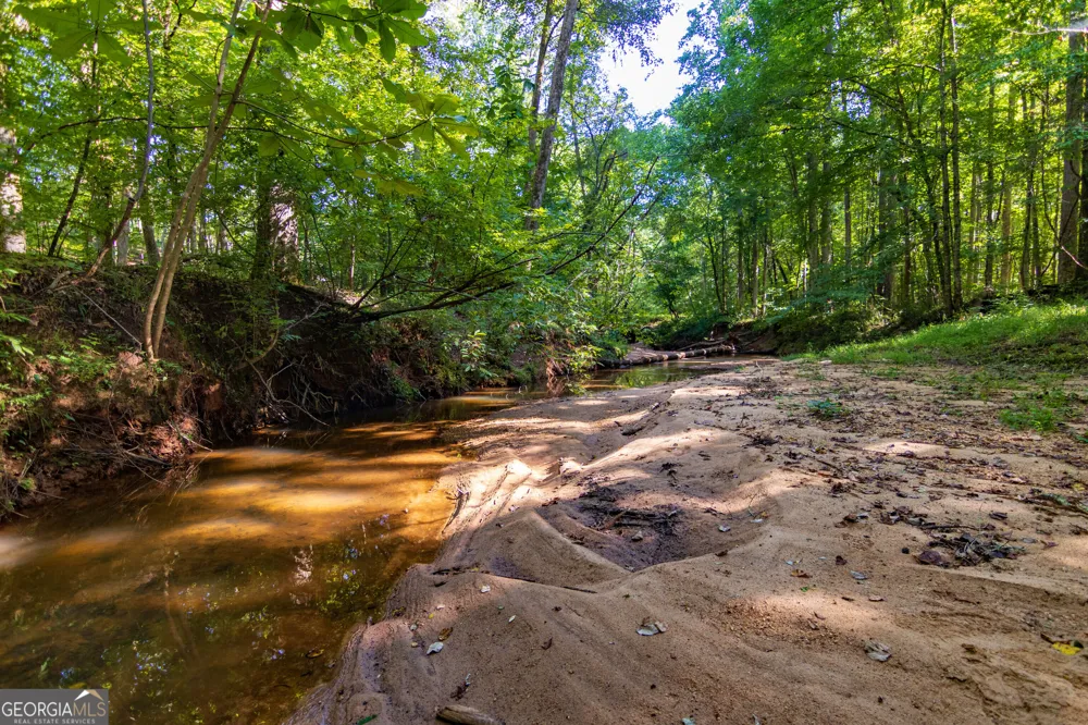 TRACT 1 Highway 0036 Woodland, GA 31836