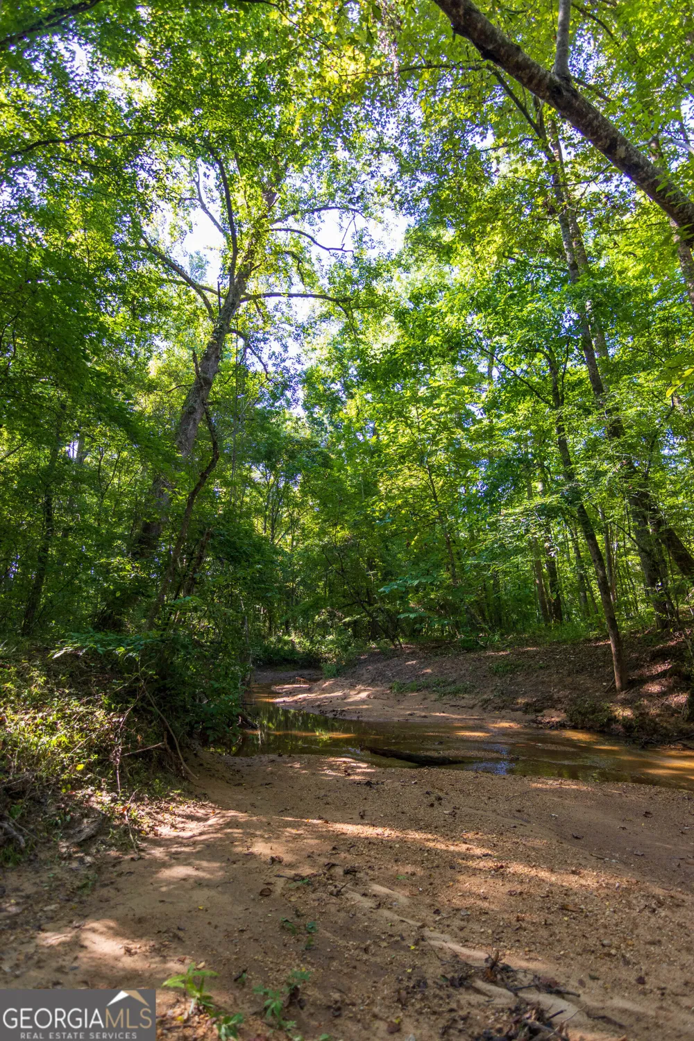 TRACT 1 Highway 0036 Woodland, GA 31836
