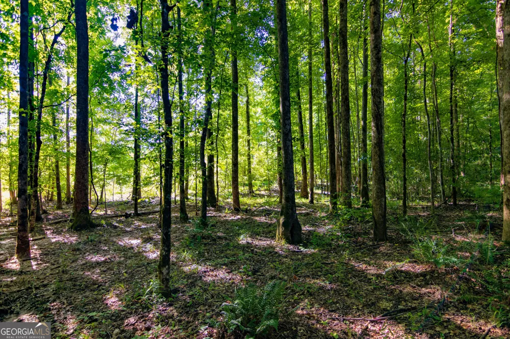 TRACT 1 Highway 0036 Woodland, GA 31836