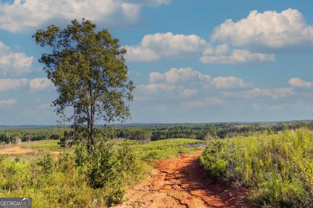 TRACT 2 Highway 0036 Woodland, GA 31836