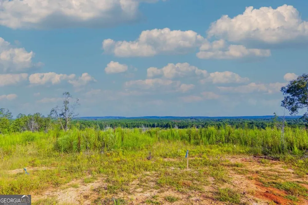 TRACT 2 Highway 0036 Woodland, GA 31836
