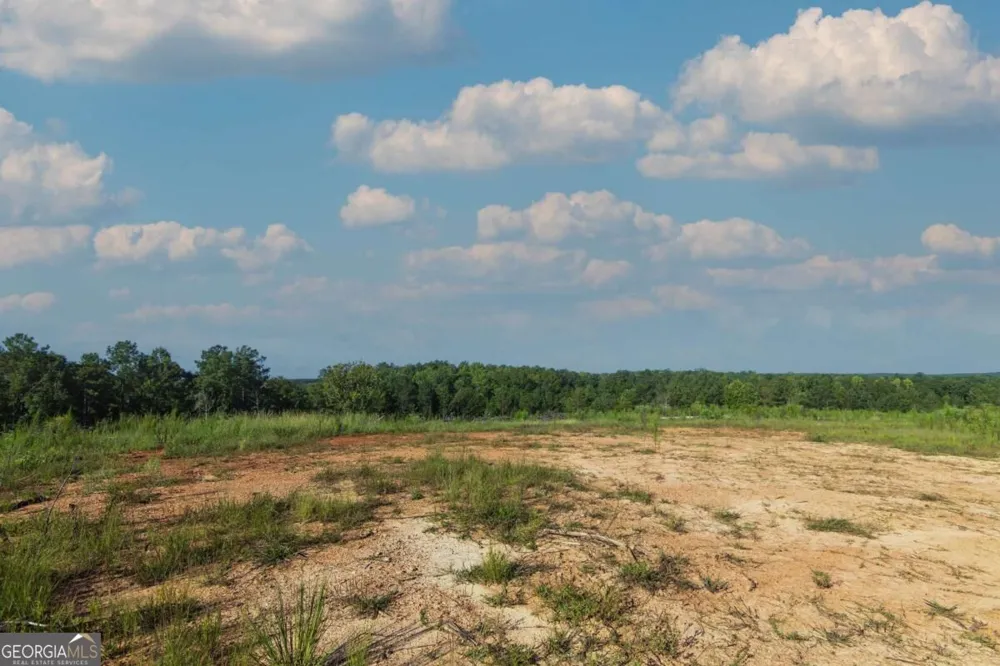 TRACT 2 Highway 0036 Woodland, GA 31836