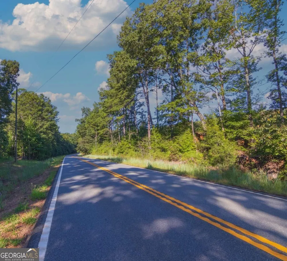 TRACT 2 Highway 0036 Woodland, GA 31836