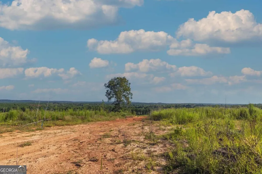 TRACT 2 Highway 0036 Woodland, GA 31836