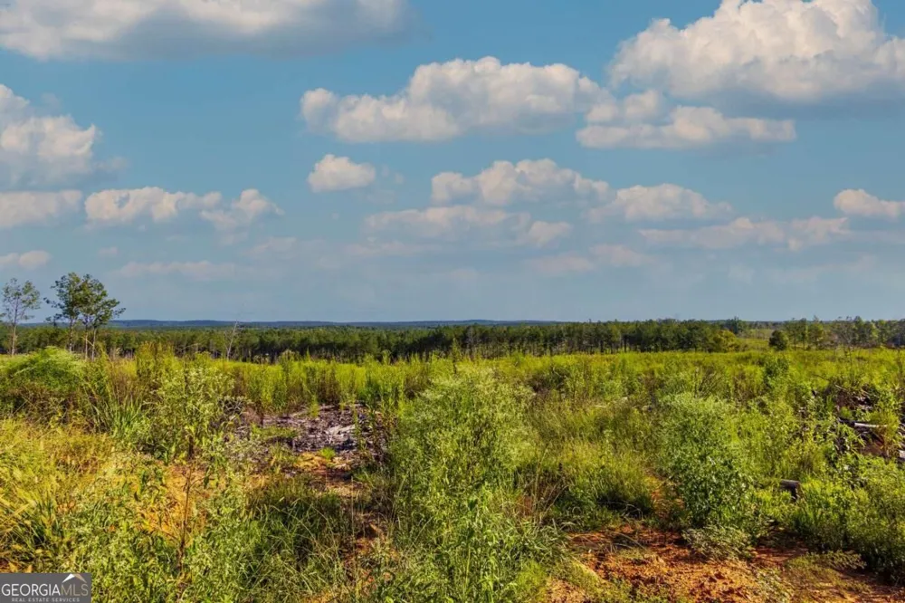 TRACT 3 Highway 0036 Woodland, GA 31836