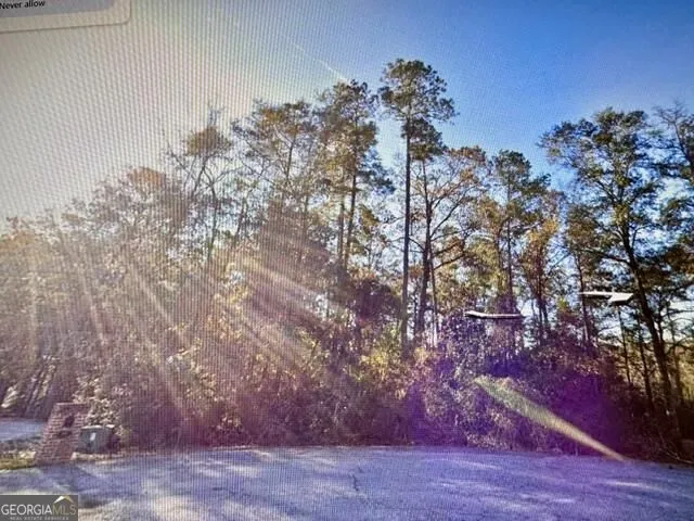 LOT 16 Old Mill WAY Statesboro, GA 30461