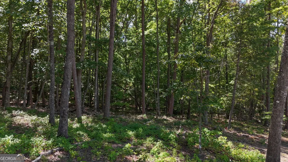 0 Sautee Ridge RD Clarkesville, GA 30523