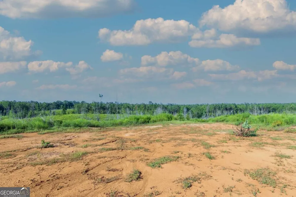 TRACT 4 Highway 0036 Woodland, GA 31836