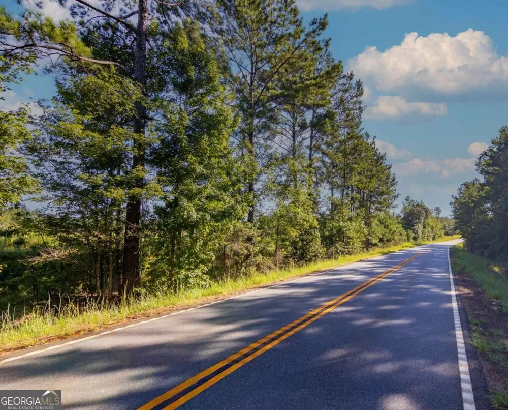 TRACT 4 Highway 0036 Woodland, GA 31836