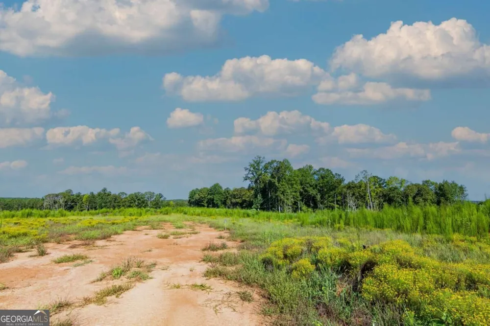 TRACT 5 Carlisle Gap RD Woodland, GA 31836