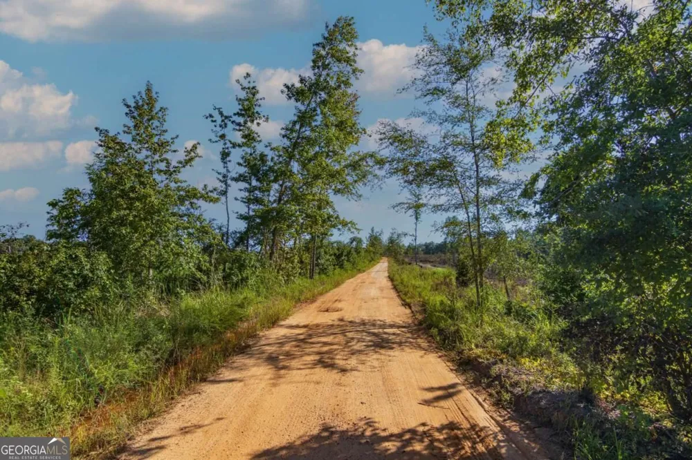 TRACT 5 Carlisle Gap RD Woodland, GA 31836