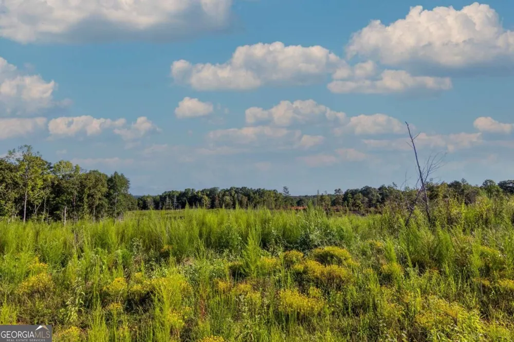 TRACT 5 Carlisle Gap RD Woodland, GA 31836