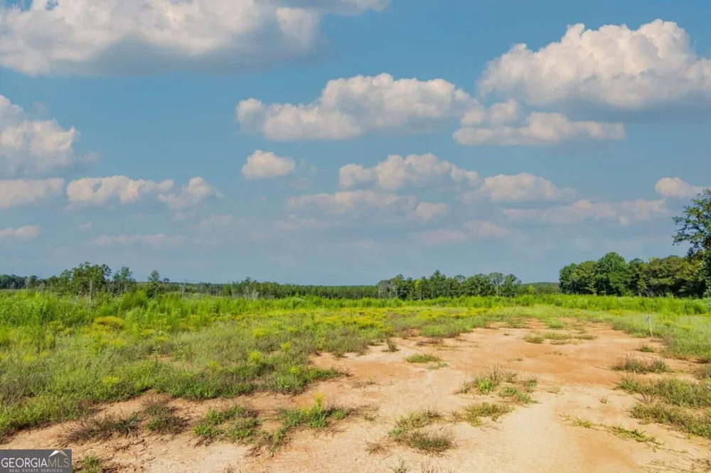 TRACT 5 Carlisle Gap RD Woodland, GA 31836