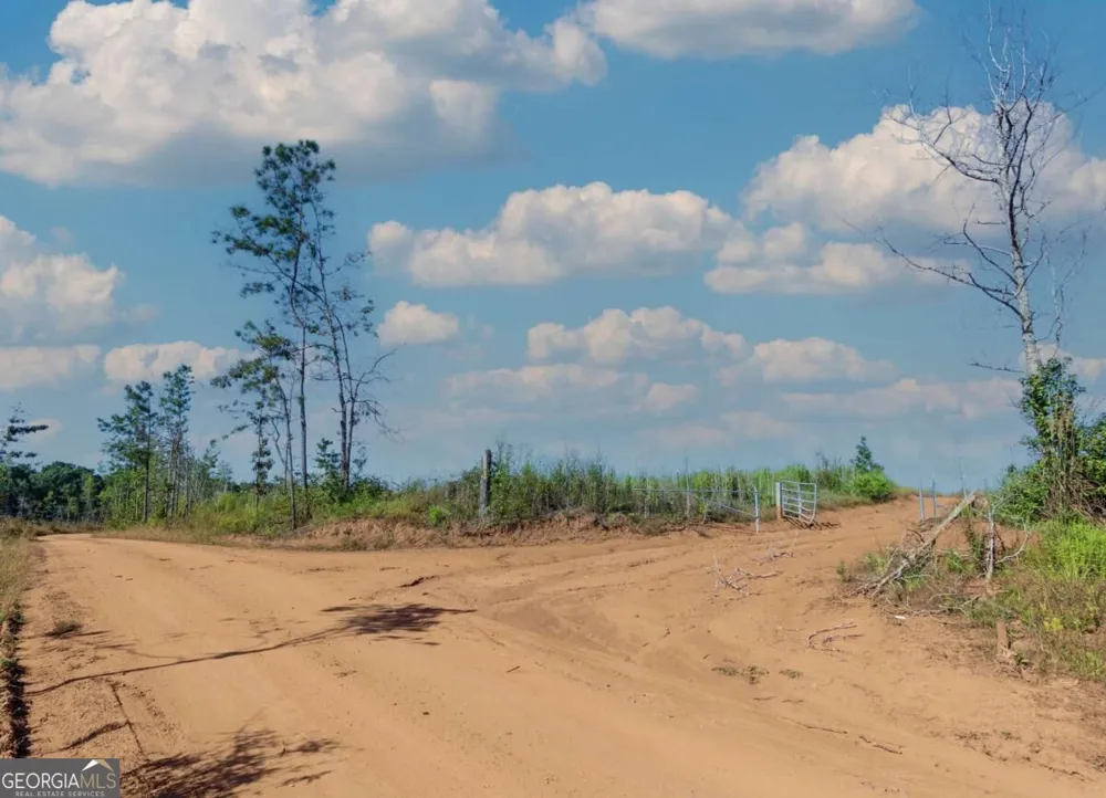 TRACT 5 Carlisle Gap RD Woodland, GA 31836