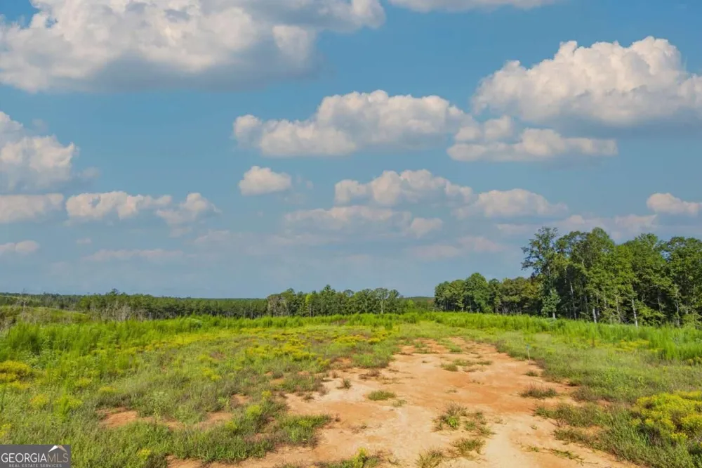 TRACT 5 Carlisle Gap RD Woodland, GA 31836