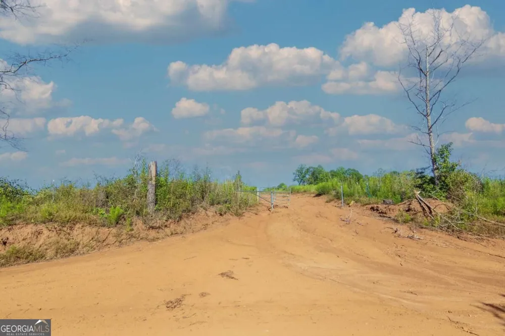 TRACT 5 Carlisle Gap RD Woodland, GA 31836
