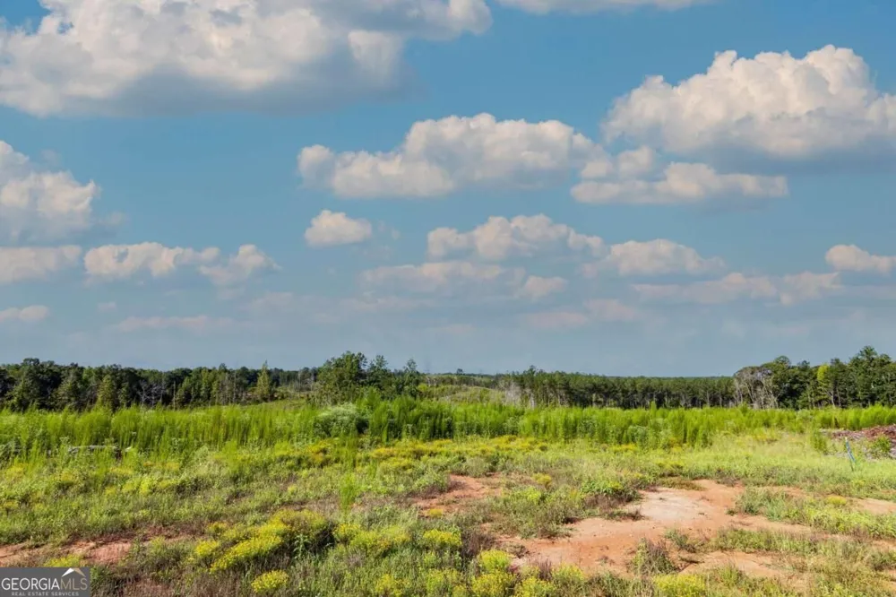 TRACT 5 Carlisle Gap RD Woodland, GA 31836
