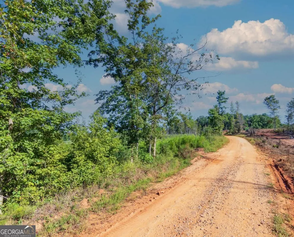 TRACT 6 Carlisle Gap RD Woodland, GA 31836