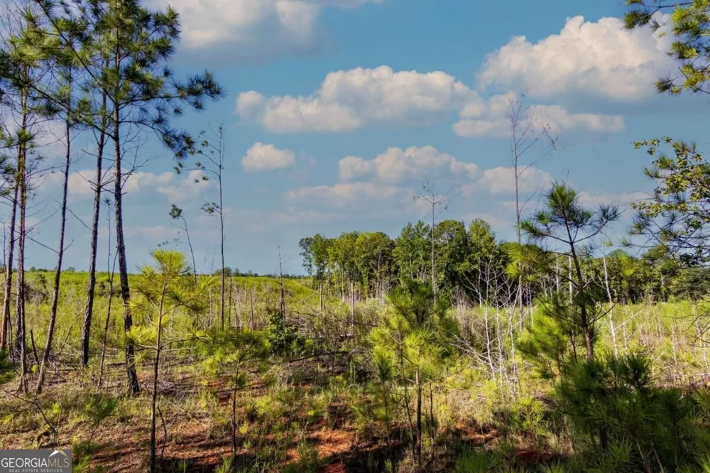 TRACT 6 Carlisle Gap RD Woodland, GA 31836