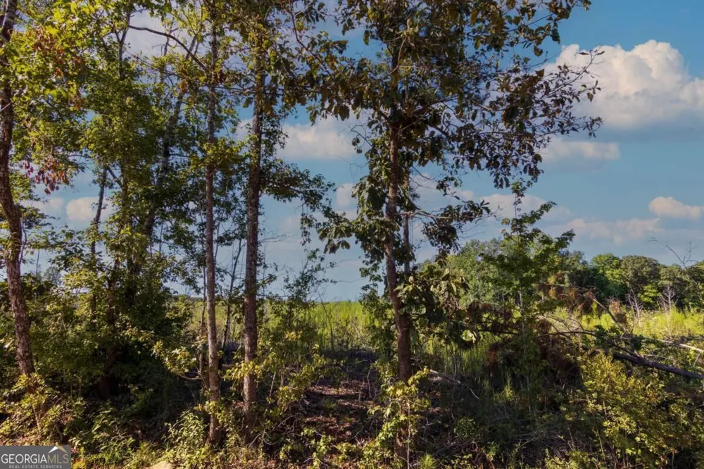 TRACT 6 Carlisle Gap RD Woodland, GA 31836