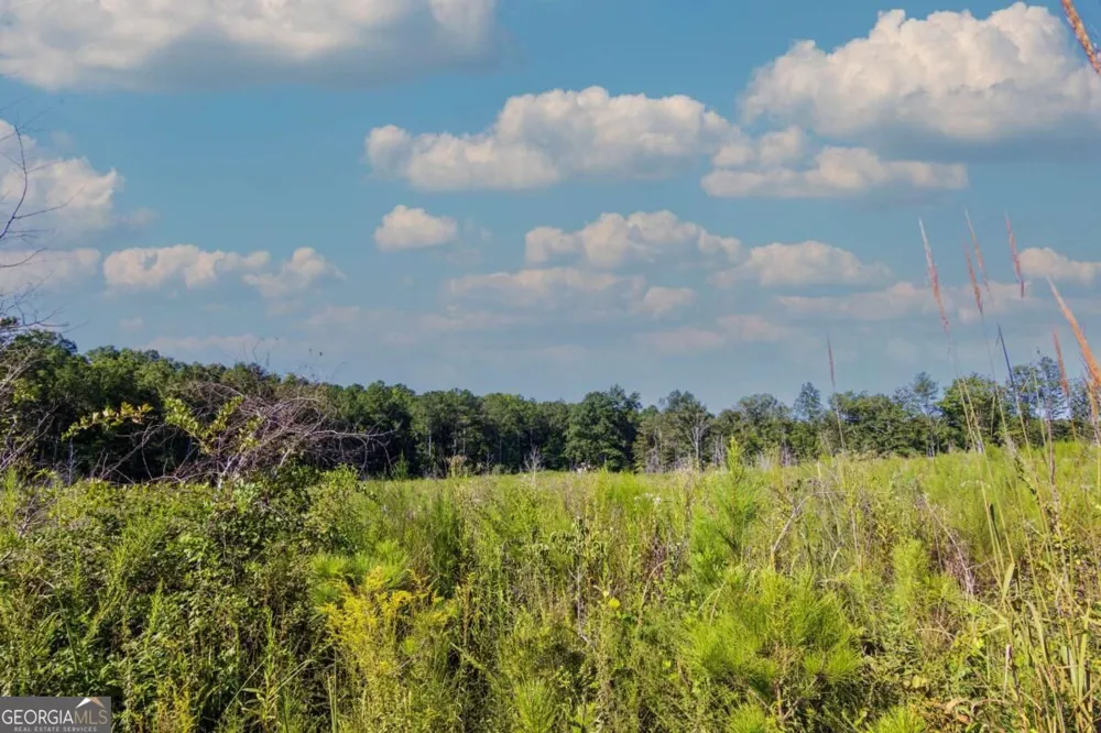 TRACT 7 Carlisle Gap RD Woodland, GA 31836