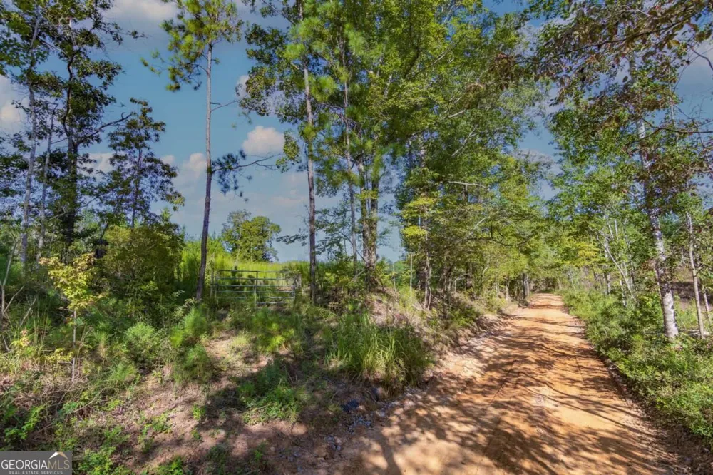 TRACT 8 Carlisle Gap RD Woodland, GA 31836