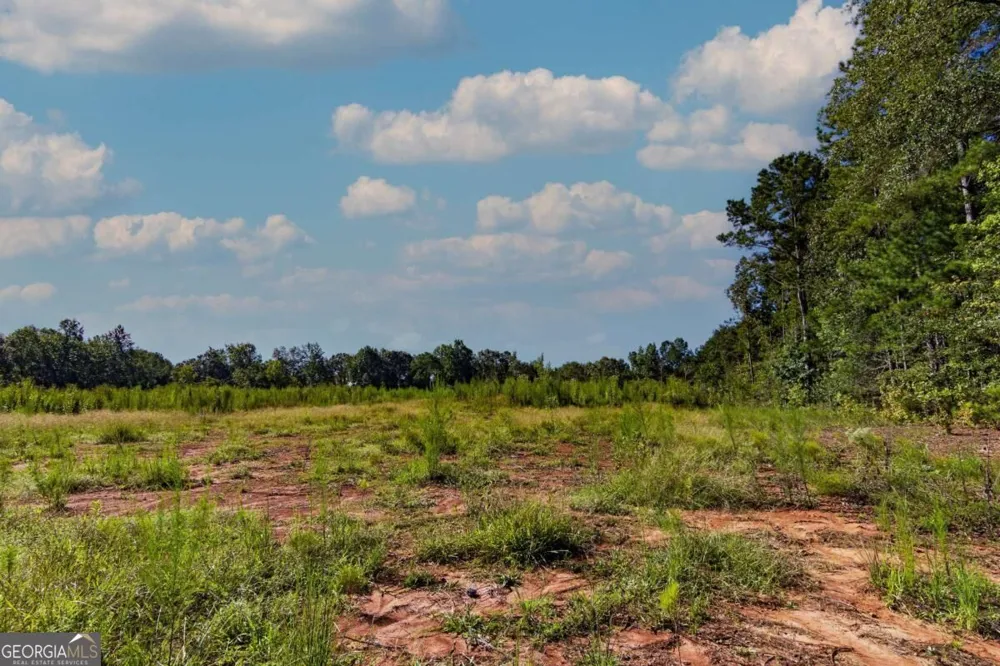TRACT 8 Carlisle Gap RD Woodland, GA 31836