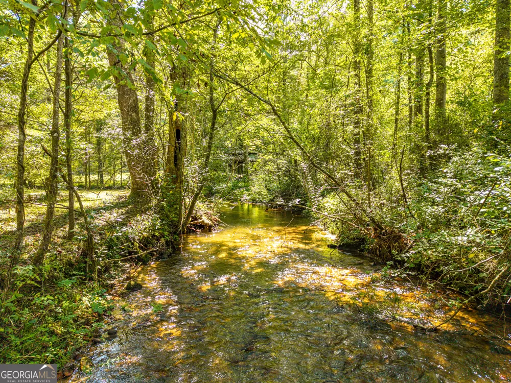 4126 Zion Hill RD Ellijay, GA 30540