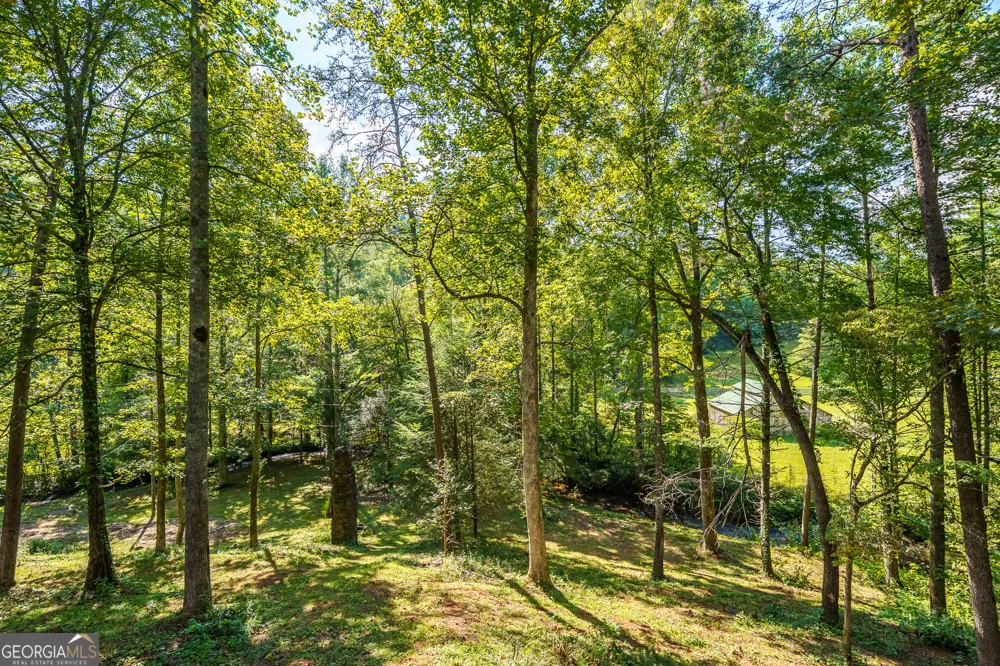 4126 Zion Hill RD Ellijay, GA 30540