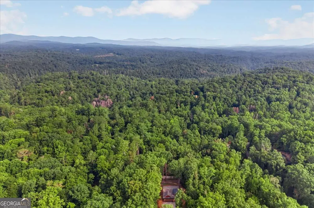 235 Parnell DR Ellijay, GA 30540
