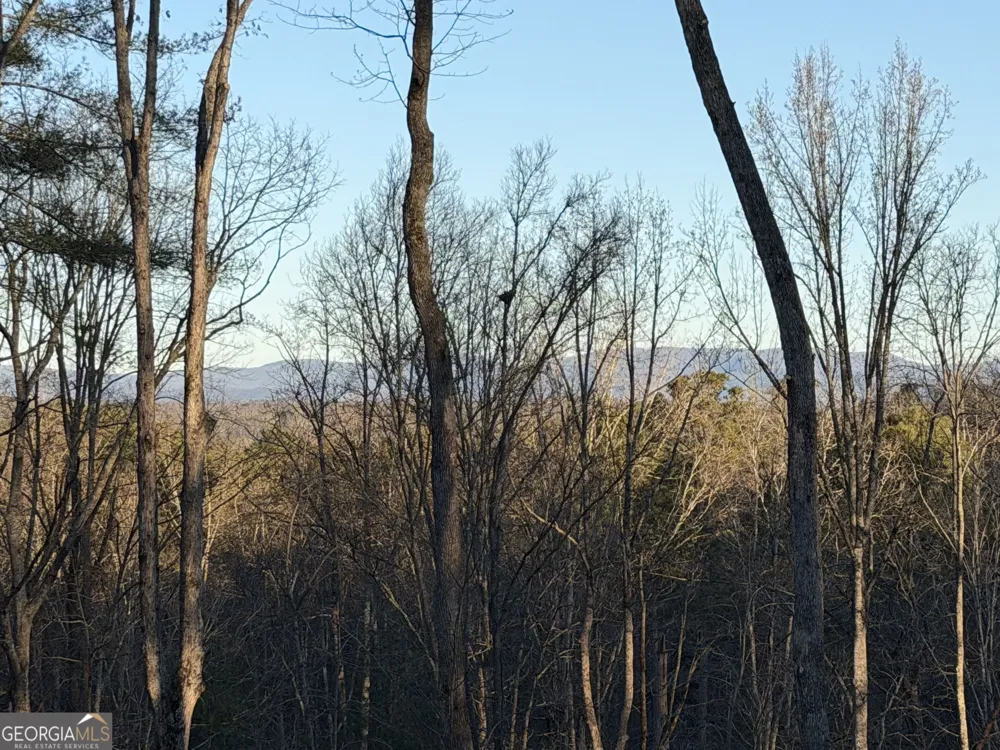 235 Parnell DR Ellijay, GA 30540