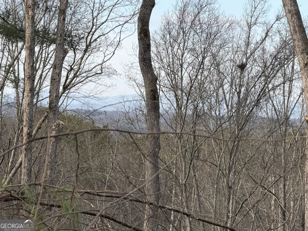 235 Parnell DR Ellijay, GA 30540