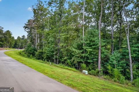 LOT 14 Clear Creek Preserve WAY
