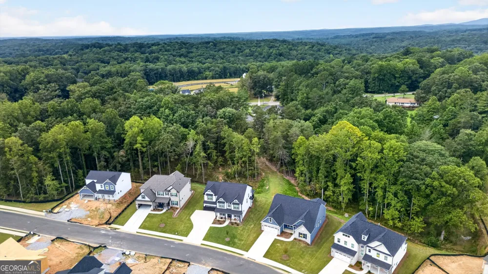 151 Cedar Crest LN Dawsonville, GA 30534