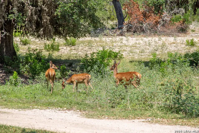 TBD County Road 342 Barksdale, TX 78828