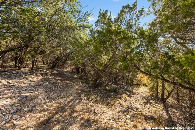 250 Misty Brook Spring Branch, TX 78070