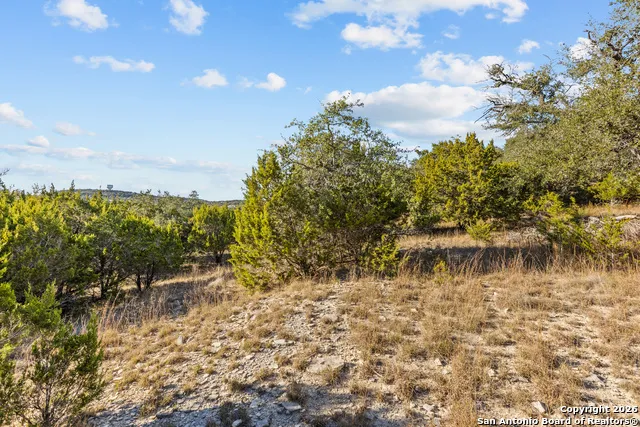 250 Misty Brook Spring Branch, TX 78070