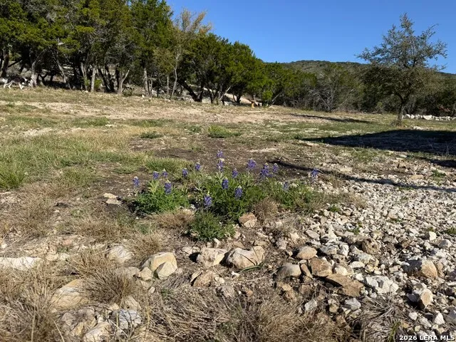 785 Private Road 3350 Concan, TX 78838