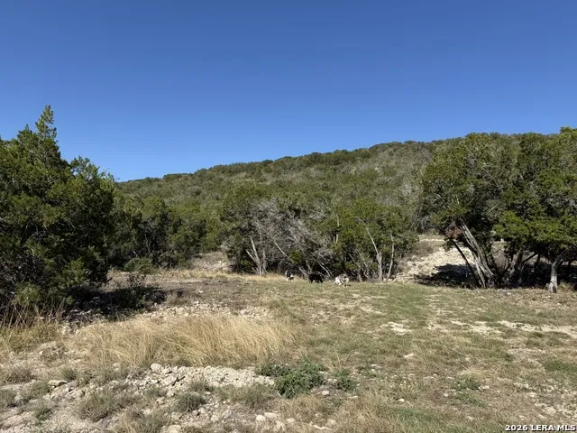 785 Private Road 3350 Concan, TX 78838