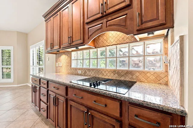 15666 Dove Meadow San Antonio, TX 78248